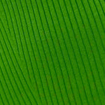 immagine maglia donna frontale verde dettaglio